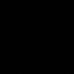 Meet your Posher, Kaylez